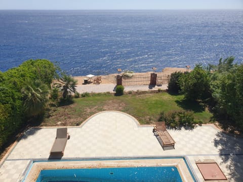 Property view