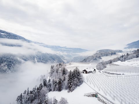 Natural landscape, Winter