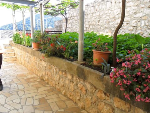 Facade/entrance, Garden