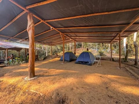 Camping Vida Longa Campground/ 
RV Resort in Angra dos Reis