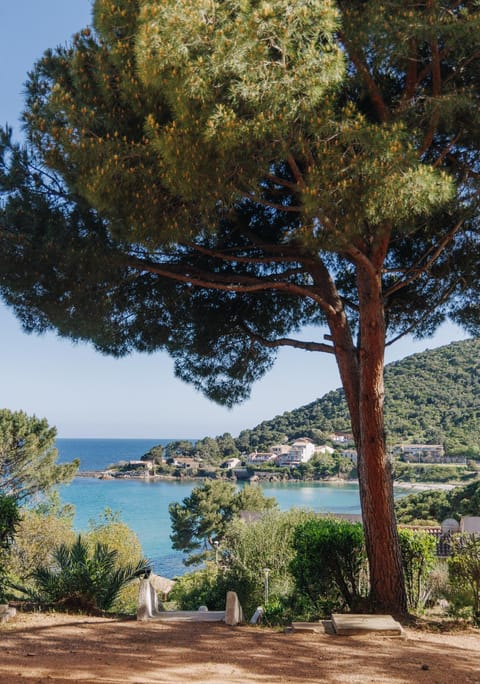Garden, Sea view, Sea view