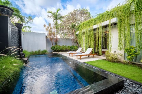 Patio, Day, Garden, Swimming pool, sunbed