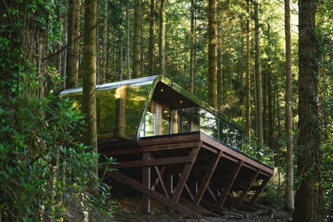 Forest Lodges Nature lodge in Bro Garmon