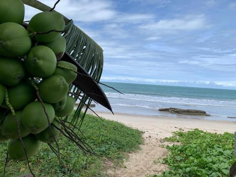 Day, Natural landscape, Beach, Sea view