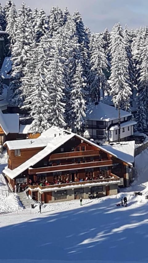 Property building, Winter