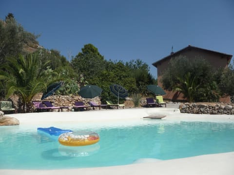 Day, Summer, On site, Garden view, Pool view, Swimming pool, Swimming pool