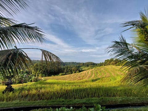 JungleHavenBali - Private Nature Stay Chalet in East Selemadeg