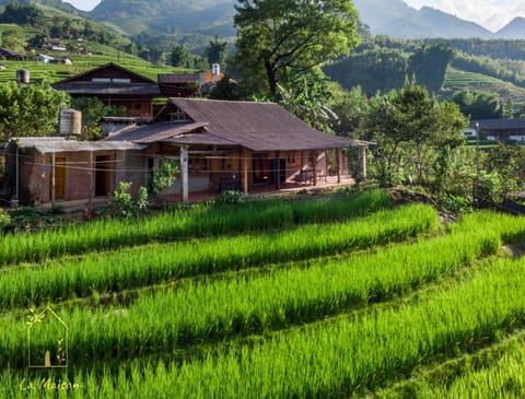 Property building, Spring, Natural landscape, Garden view