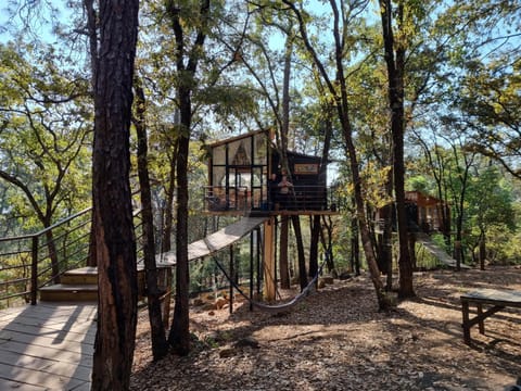 Patagonia, Pinochueco Chalet in Hidalgo, Mexico