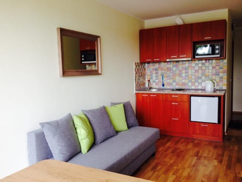 A Cozy Central Studio Apartment in Lithuania