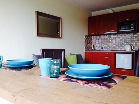 A Cozy Central Studio Apartment in Lithuania