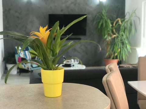 Apartment Ive Apartment in Trogir