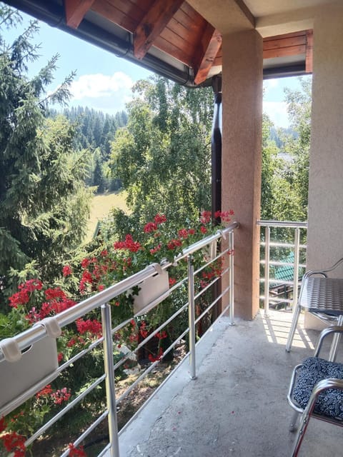 Jelenin konak Apartment in Zlatibor District, Serbia