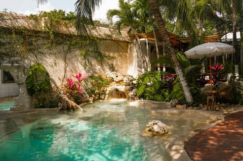 Day, Natural landscape, Garden, Pool view, Swimming pool