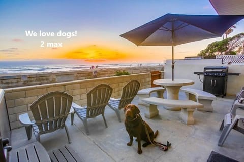 Life's A Beach 1 House in Mission Beach