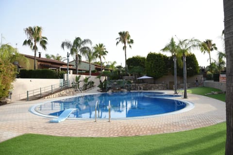 Day, Garden, Swimming pool, Swimming pool