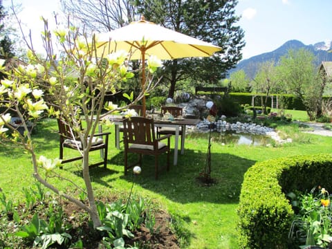 Spring, Garden, Seating area