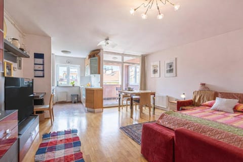 Bed, TV and multimedia, Kitchen or kitchenette, Photo of the whole room, Seating area, Dining area, Bedroom, oven, pet friendly, stove