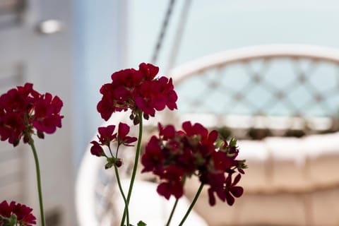 Mavip Residence Apartment hotel in San Benedetto del Tronto