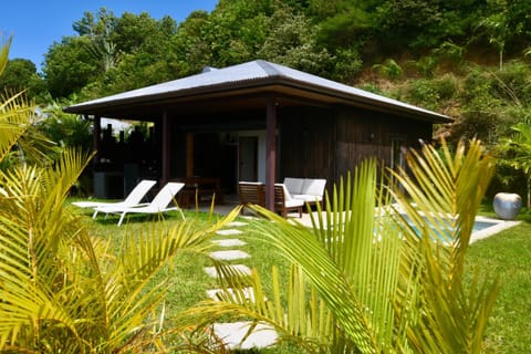 Natural landscape, Garden, sunbed