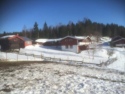 Day, Winter, Other