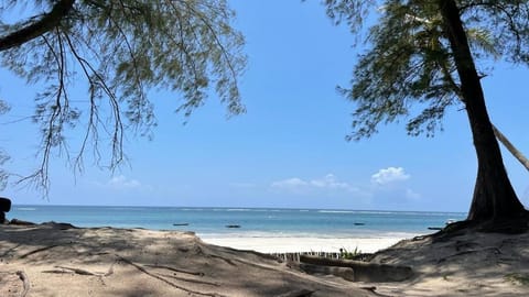 Natural landscape, Beach, Sea view