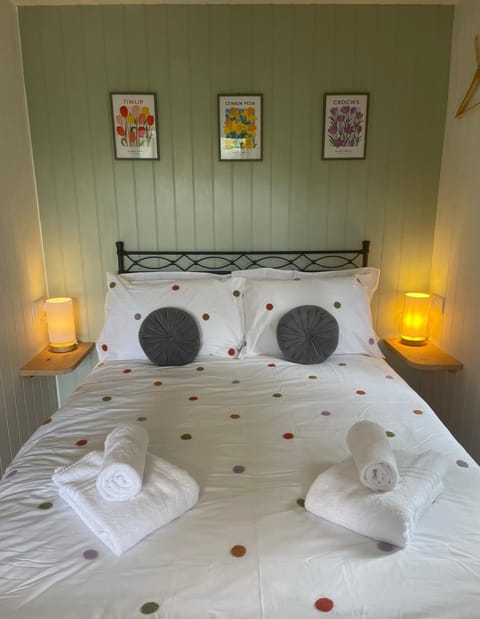 Pwllglas Bach - Spacious Cabin Cabin in Wales