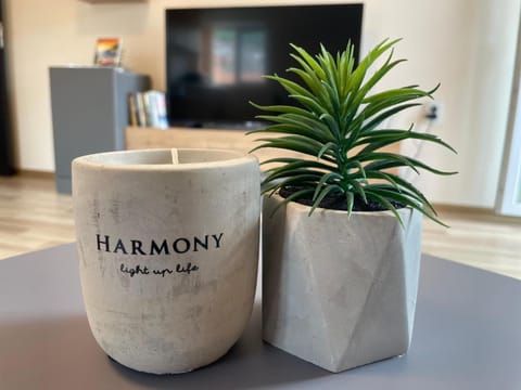 TV and multimedia, Text overlay