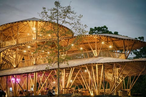 Property building, Restaurant/places to eat, Dinner