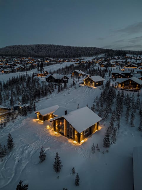 Property building, Natural landscape, Winter, Skiing, Skiing, Mountain view