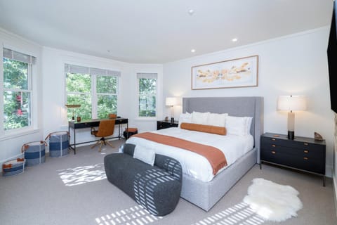 425 Depot Ave home House in Telluride