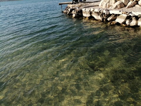 Apartments Bagaric Apartment in Šibenik-Knin County, Croatia