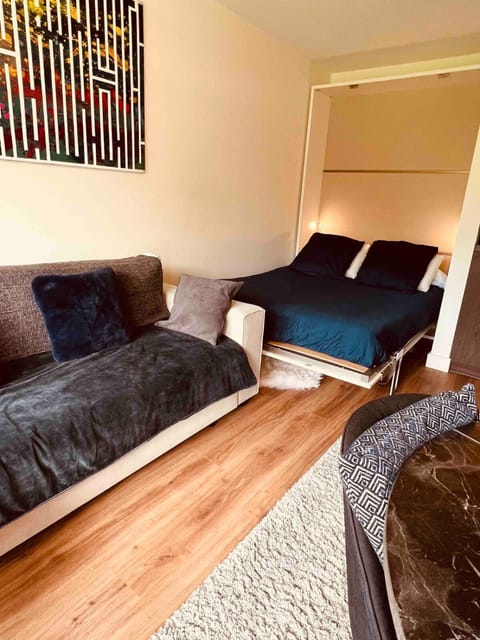 Studio bord du lac terrasse Apartment in Aix-les-Bains