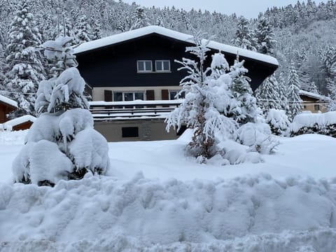 Property building, Natural landscape, Winter
