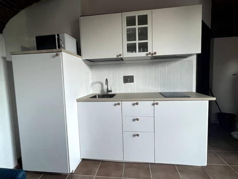 Windrose Blue Blossom Apartment in Volterra