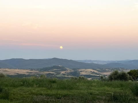 Windrose Blue Blossom Apartment in Volterra