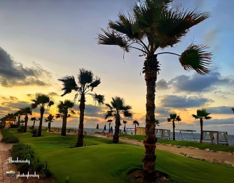 Natural landscape, Sea view, Sunrise
