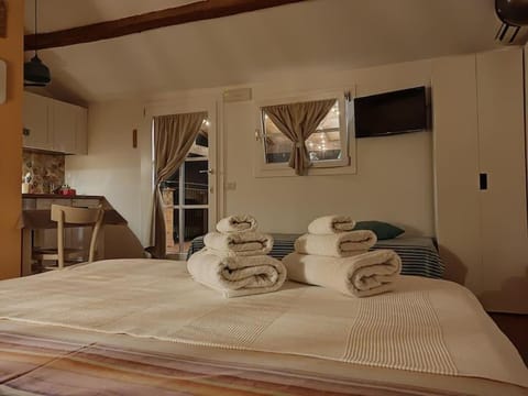 CASA LITA con terrazzo Apartment in Ravenna