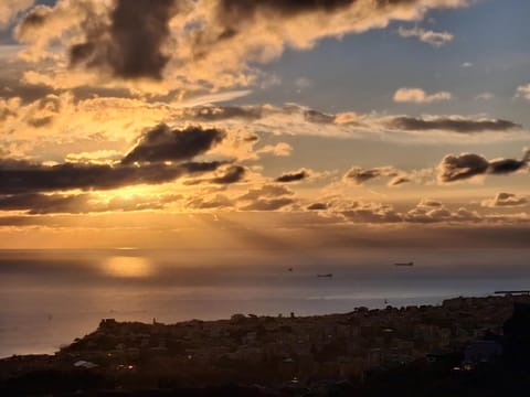 Dal Moro 44 House in Genoa