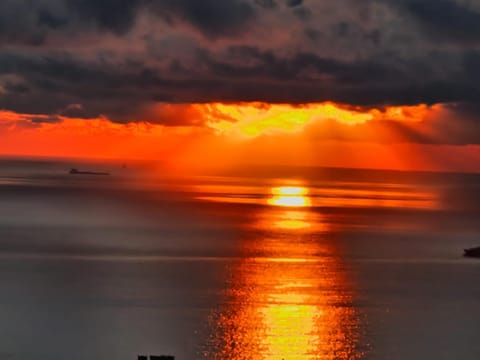 Dal Moro 44 House in Genoa