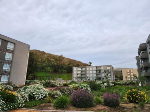 Garden, Garden view