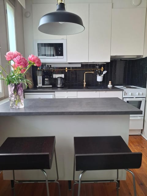 Kitchen or kitchenette, Dining area, oven, stove