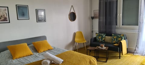 Studio KULLA avec terasse 5mn Basel Airport Apartment in Saint-Louis