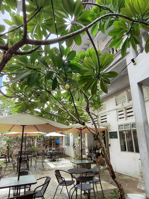Property building, Patio, Day, Garden, Garden view