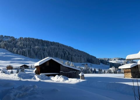 Le Chalet du Crêt - 8 pers, tout confort avec Jacuzzi Chalet in Notre-Dame-de-Bellecombe