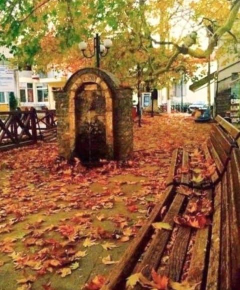 Neighbourhood, Natural landscape