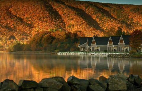 Natural landscape, Lake view