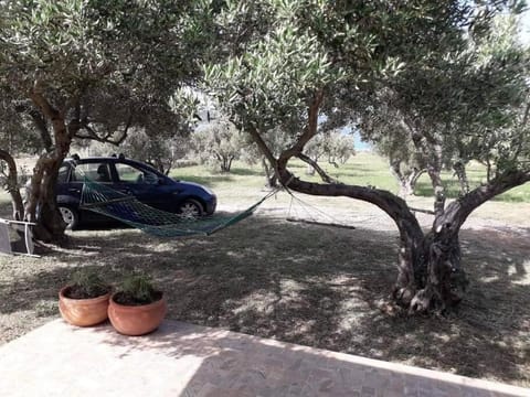 Robinson house Sea & olives House in Tisno