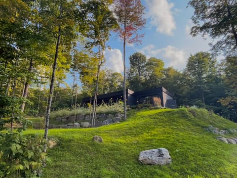 Day, Natural landscape, Garden, Garden view