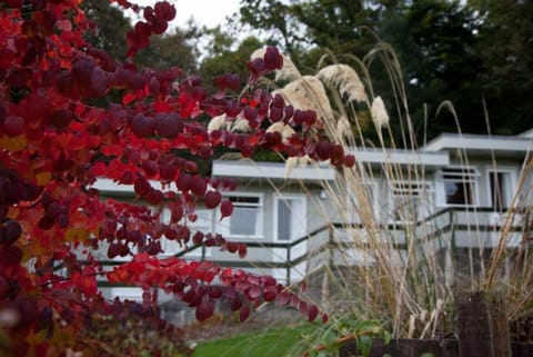 The Arran Lodge & Arran Sleep Huts Hotel in England